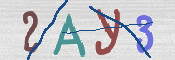 CAPTCHA 驗證圖片