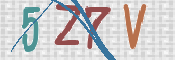 CAPTCHA 驗證圖片