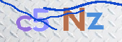 CAPTCHA 验证图片