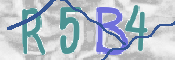 CAPTCHA 验证图片