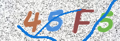 CAPTCHA 验证图片