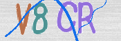 CAPTCHA 验证图片