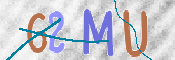 CAPTCHA 验证图片