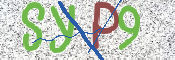 CAPTCHA 验证图片