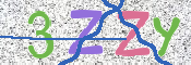 CAPTCHA 验证图片