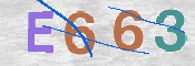 CAPTCHA 驗證圖片