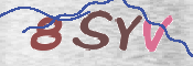 CAPTCHA 验证图片