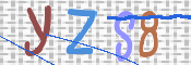 CAPTCHA 验证图片