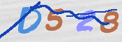 CAPTCHA 验证图片