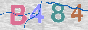 CAPTCHA 验证图片