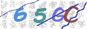 CAPTCHA 验证图片