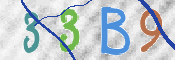 CAPTCHA 验证图片