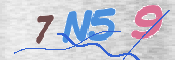 CAPTCHA 验证图片