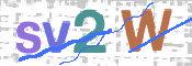 CAPTCHA 验证图片
