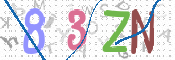 CAPTCHA 验证图片