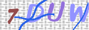 CAPTCHA 驗證圖片