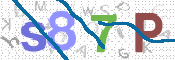 CAPTCHA 验证图片