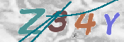 CAPTCHA 驗證圖片