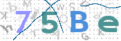 CAPTCHA 驗證圖片