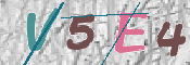 CAPTCHA 验证图片