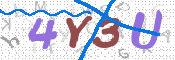 CAPTCHA 验证图片