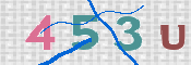 CAPTCHA 验证图片