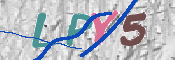 CAPTCHA 验证图片