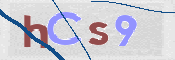 CAPTCHA 验证图片