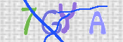 CAPTCHA 验证图片