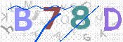 CAPTCHA 驗證圖片