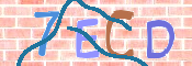 CAPTCHA 验证图片