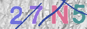 CAPTCHA 验证图片