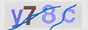 CAPTCHA 驗證圖片