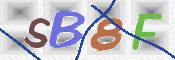 CAPTCHA 驗證圖片
