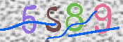 CAPTCHA 验证图片