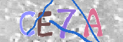 CAPTCHA 验证图片