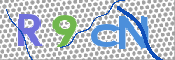 CAPTCHA 验证图片
