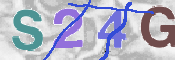 CAPTCHA 验证图片