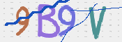 CAPTCHA 验证图片