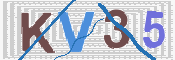CAPTCHA 验证图片