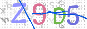 CAPTCHA 验证图片