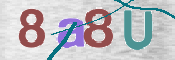CAPTCHA 验证图片