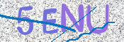 CAPTCHA 验证图片