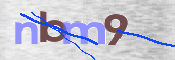 CAPTCHA 验证图片