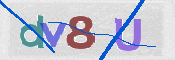 CAPTCHA 验证图片