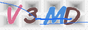 CAPTCHA 验证图片
