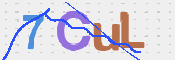 CAPTCHA 验证图片