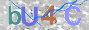CAPTCHA 验证图片