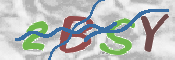 CAPTCHA 验证图片