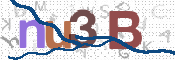 CAPTCHA 验证图片